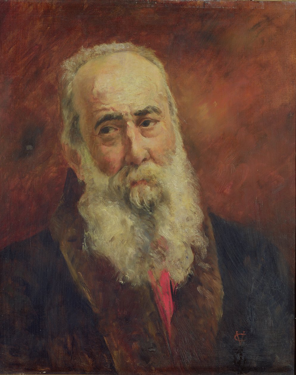 Kardynał Charles Lavigerie (1825-92) Arcybiskup Algierii autorstwa French School
