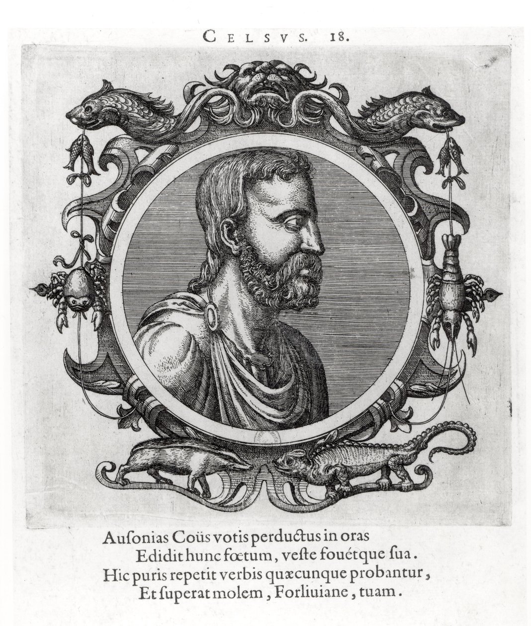 Celsusa (fl.1 AD) autorstwa French School