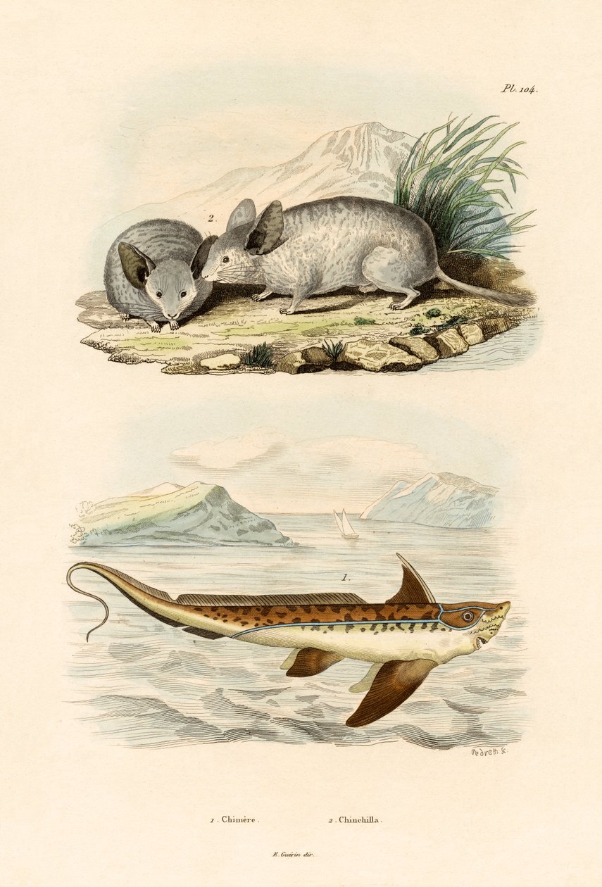 Chimera, 1833-39 autorstwa French School
