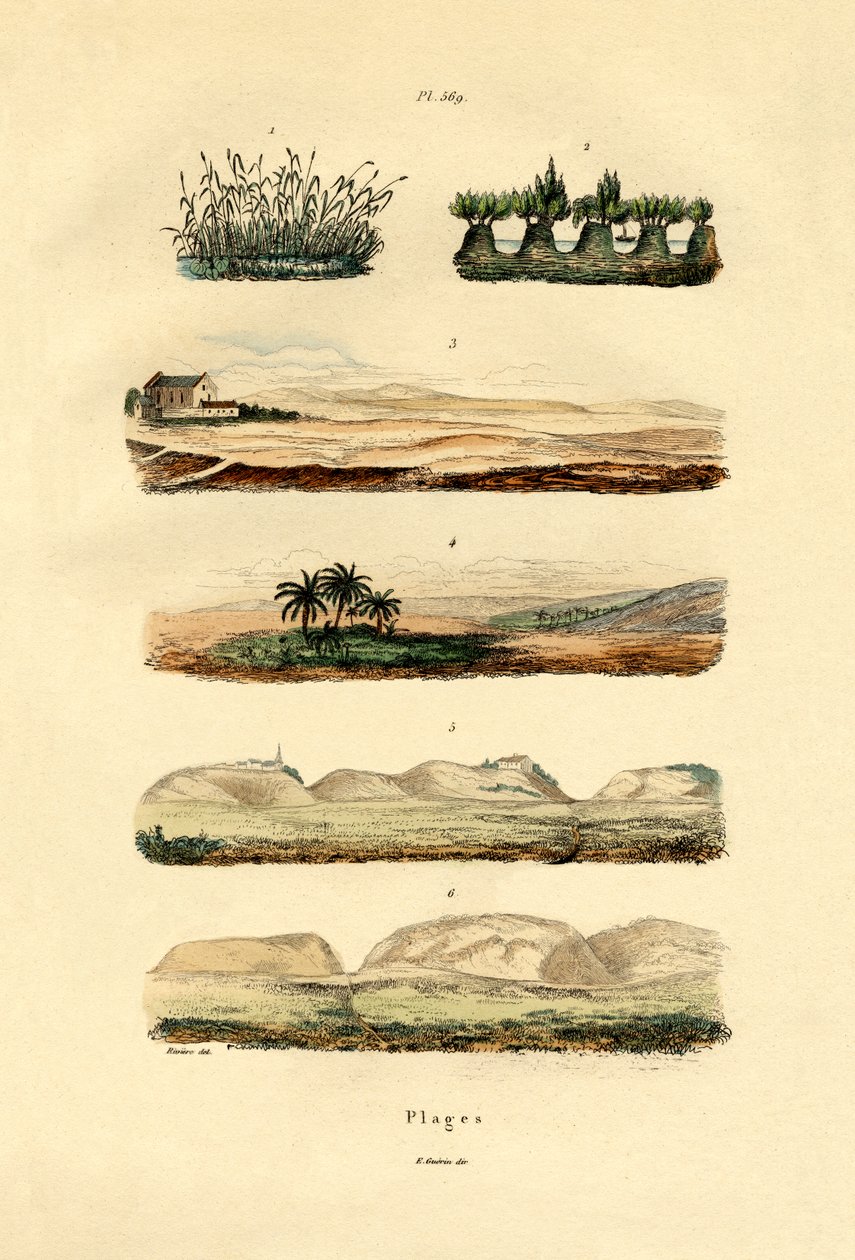 Wybrzeże, 1833-39 autorstwa French School