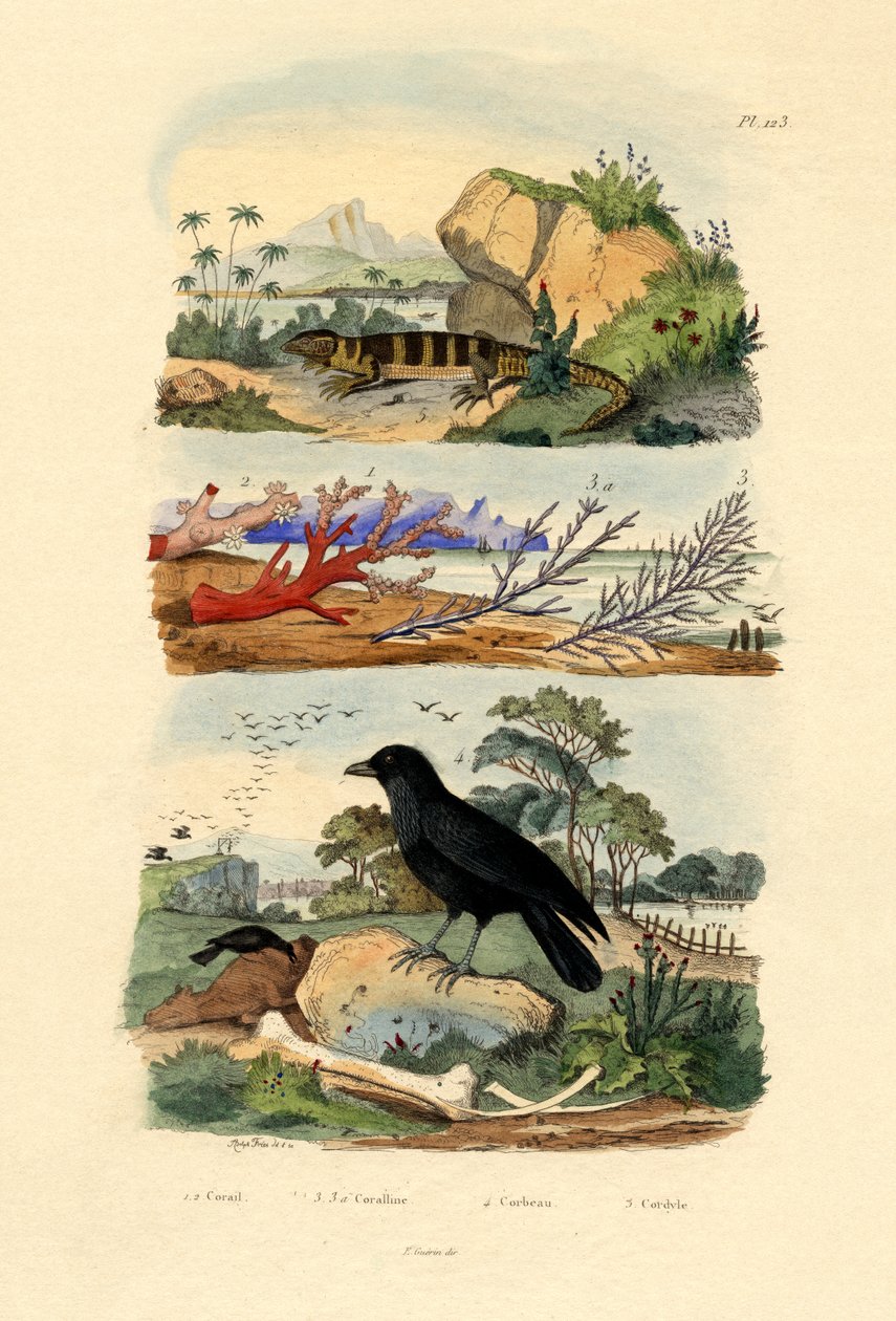 Korale, 1833-39 autorstwa French School