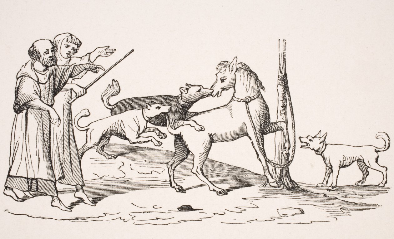 Walka między koniem a psami, reprodukcja miniatury w rękopisie z XIII wieku, z „Le Moyen Age et La Renaissance” Paula Lacroix (1806–84) z 1847 r. autorstwa French School