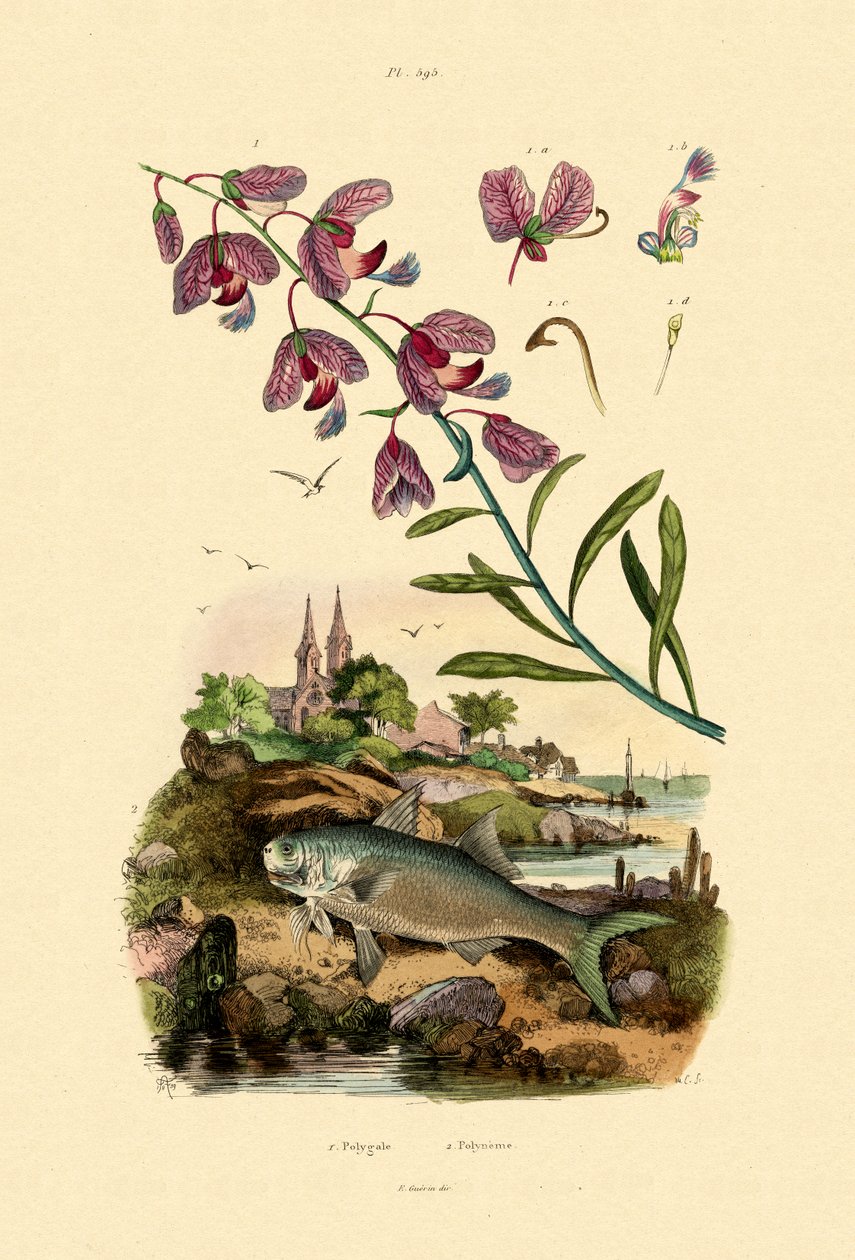 Zwieńczenie, 1833-39 autorstwa French School