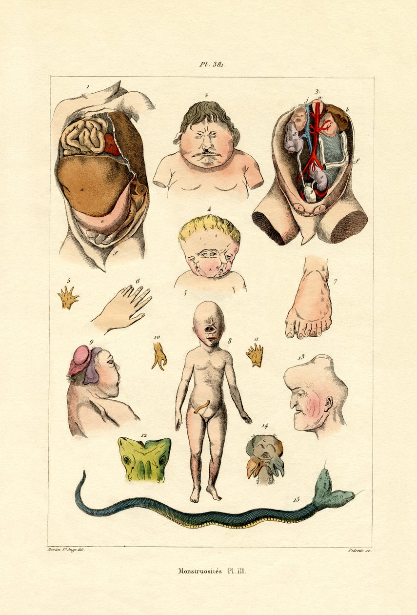 Wybryk, 1833-39 autorstwa French School