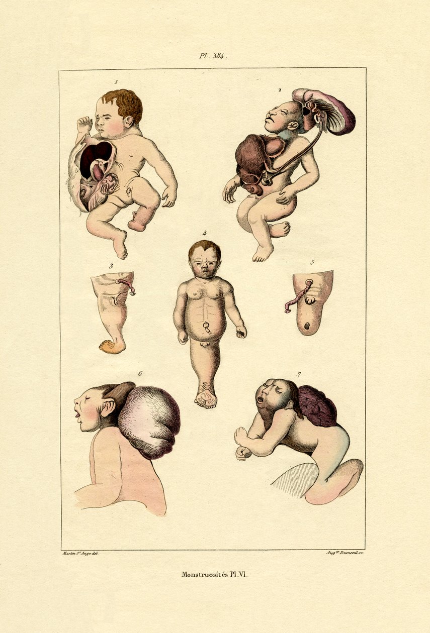 Wybryk, 1833-39 autorstwa French School