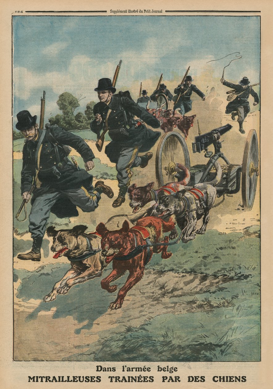 W armii belgijskiej karabiny maszynowe ciągnięte przez psy, ilustracja na okładce z „Le Petit Journal”, dodatek ilustr., 8 czerwca 1913 autorstwa French School