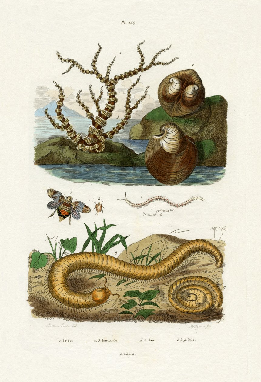 Izyda Chorał, 1833-39 autorstwa French School