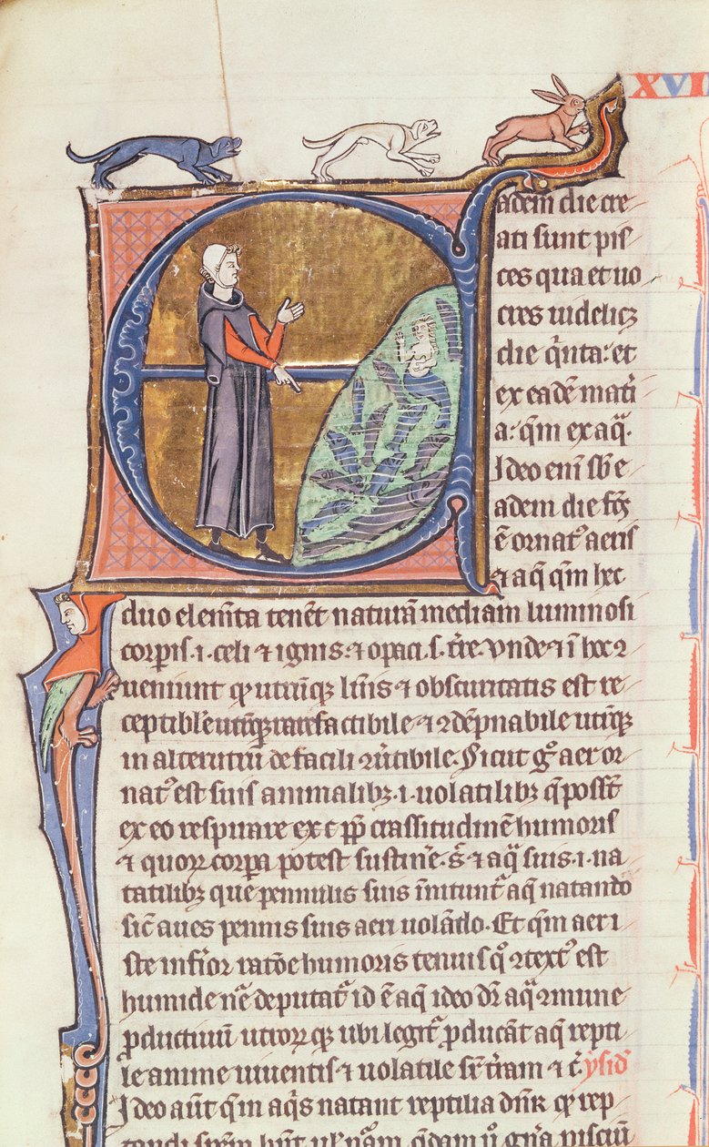 Ms 426 fol. 213 Gydytojas prie žuvų tvenkinio, iš Vincento de Beauvais poli „Le Miroir de la Nature“ autorstwa French School