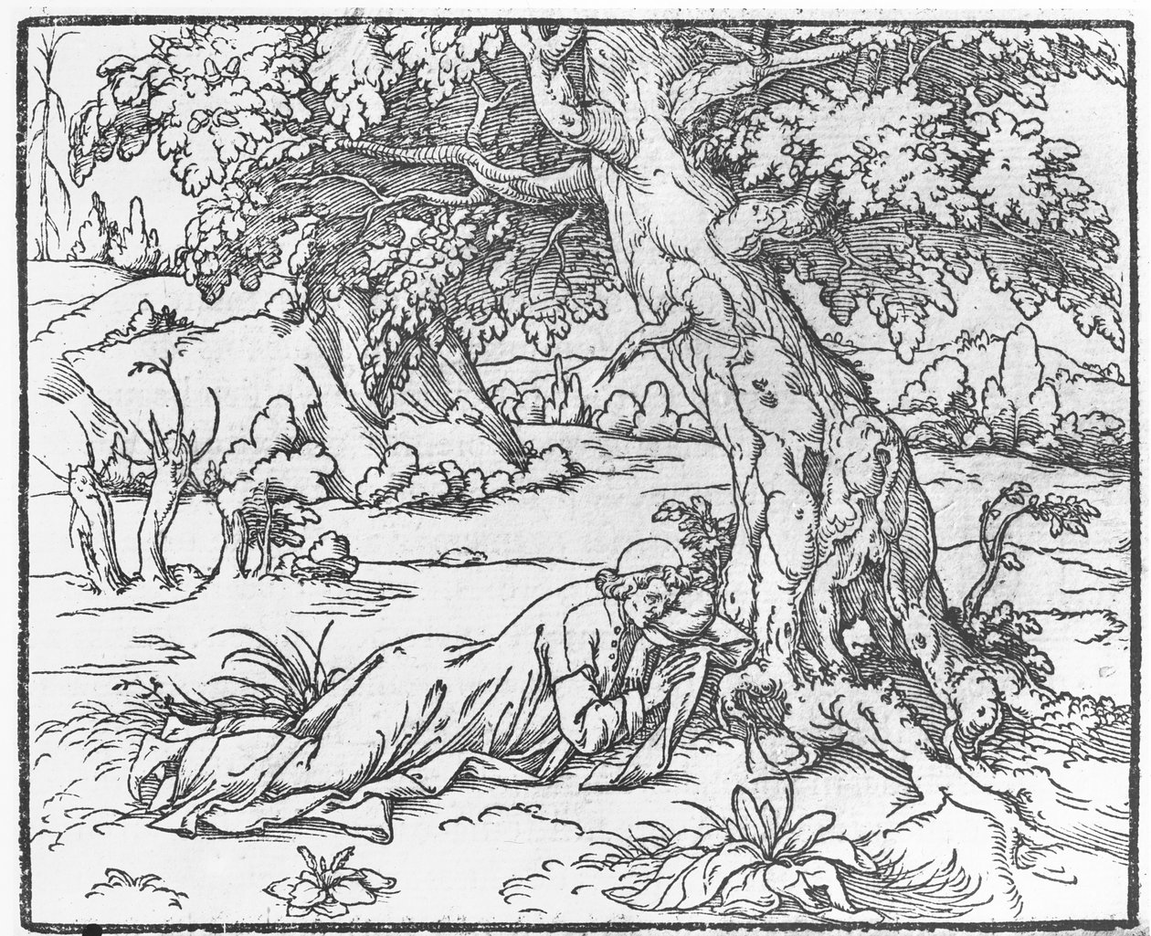 Strona z Mowy snu o Polifilu, Francesco Colonna, 1546 autorstwa French School