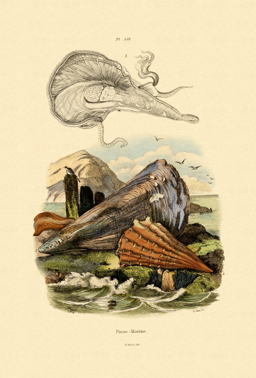 Obudowa pióra, 1833-39 autorstwa French School