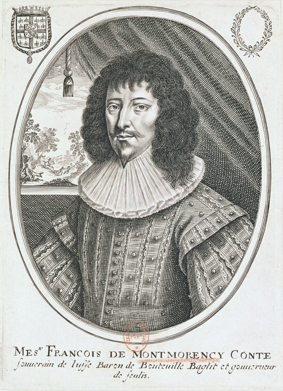 Portret Francois de Montmorency (1530-79) 1600-27 autorstwa French School