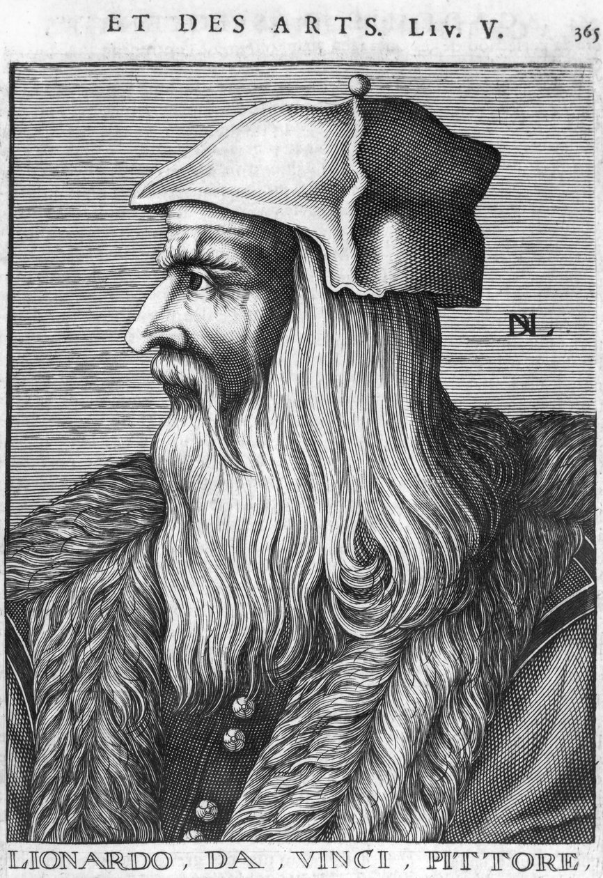 د لیونارډو دا ونسي (1452-1519) قطبونو انځور autorstwa French School