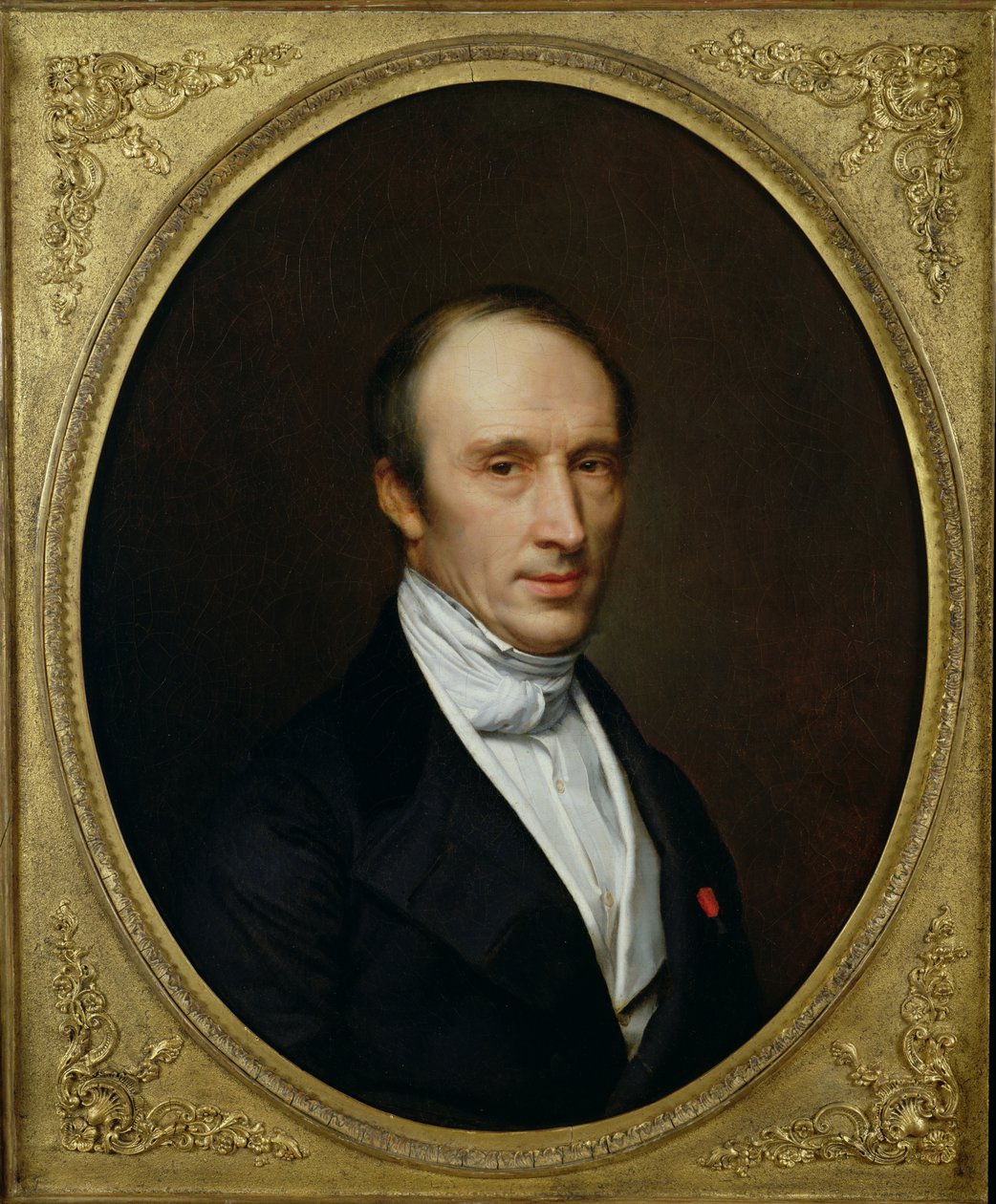 Portret Louisa Cauchy