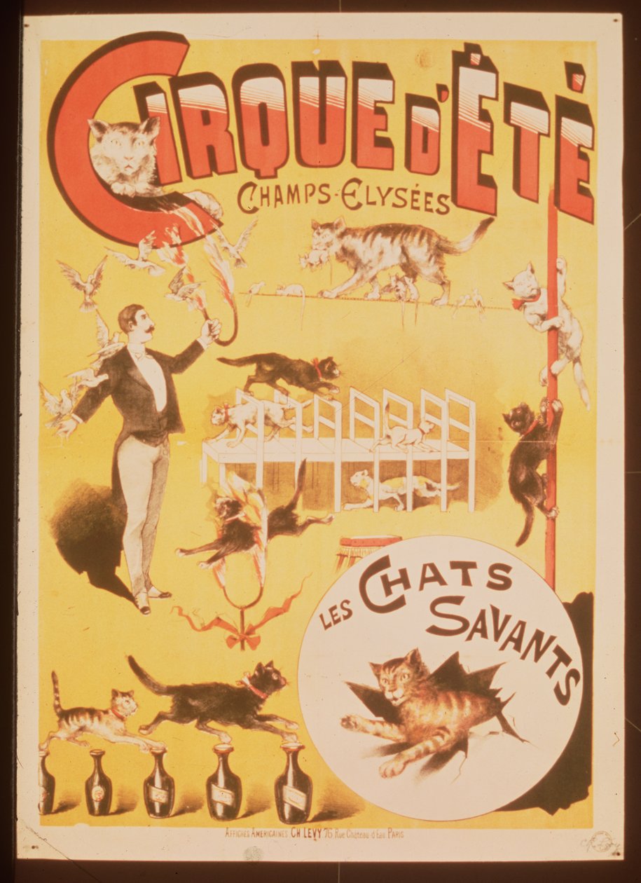Plakat reklamujący Cirque d