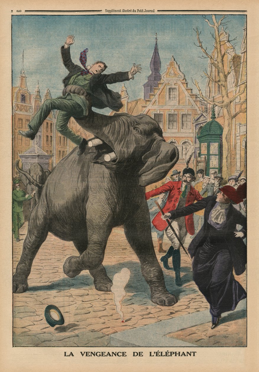 Zemsta słonia, ilustracja na tylnej okładce z „Le Petit Journal”, dodatek illustre, 8 marca 1914 autorstwa French School