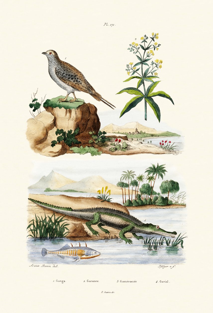 Piaskownica, 1833-39 autorstwa French School