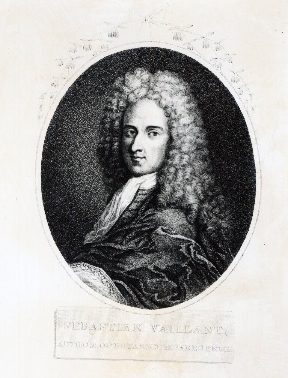 Sebastien Vaillant autorstwa French School
