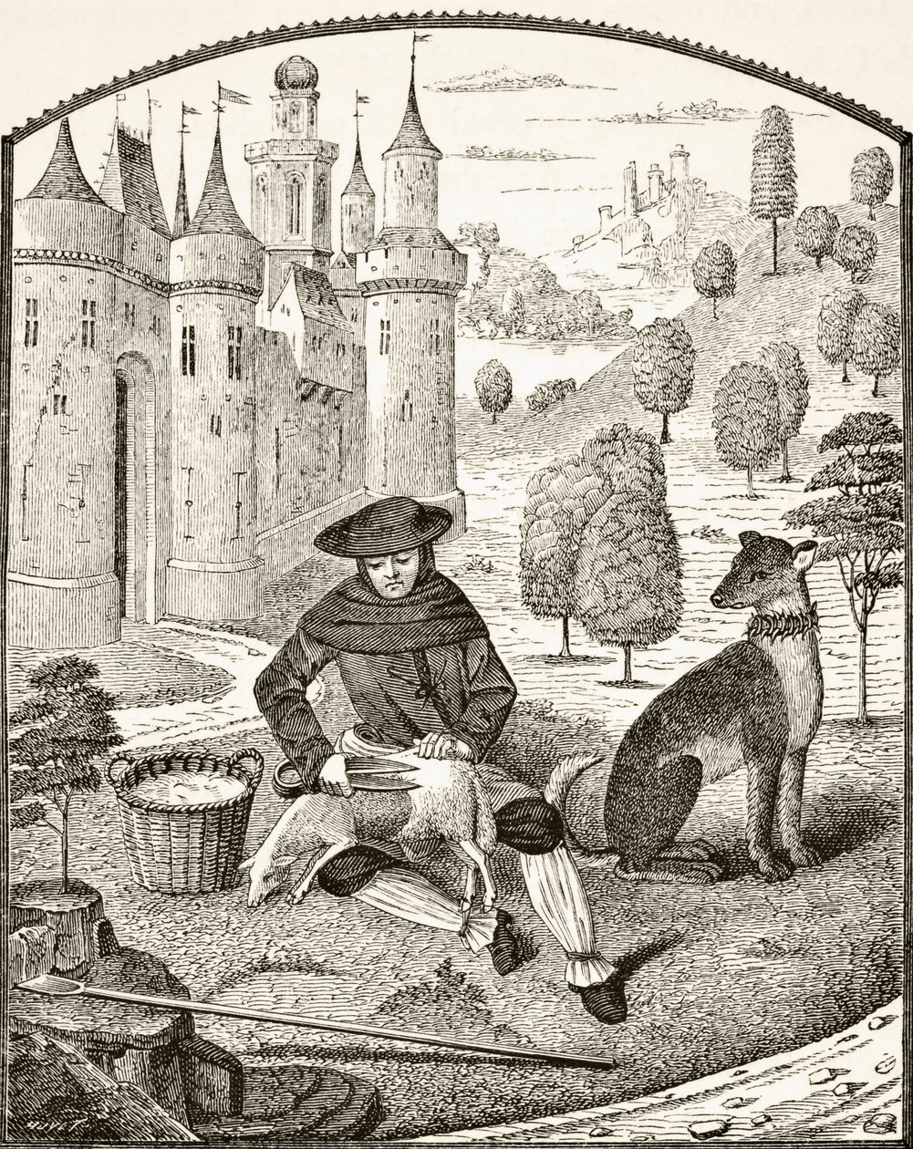 Strzyżenie owiec w średniowieczu, z "Science and Literature in the Middle Ages" Paula Lacroix (1806-84) opublikowanego w Londynie w 1878 r. autorstwa French School