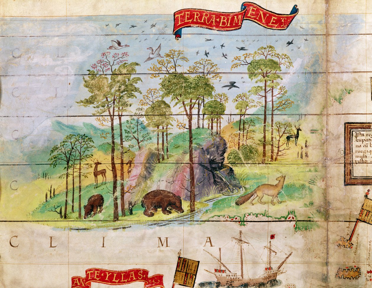 Las Kanadyjski, szczegół z mapy Atlantyku, 1519 autorstwa French School