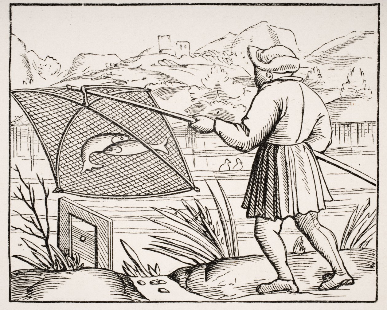 Rybak stawowy, według drzeworytu w „Cosmographie Universelle” 1549, z „Le Moyen Age et La Renaissance” Paula Lacroix (1806-84) opublikowanej w 1847 roku autorstwa French School
