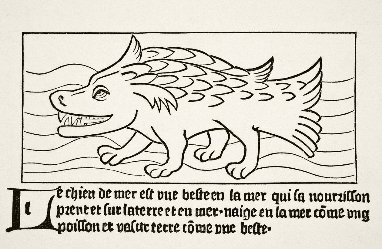 Pies morski, z "Science and Literature in the Middle Ages" Paula Lacroix (1806-84) opublikowanego w Londynie w 1878 r. autorstwa French School