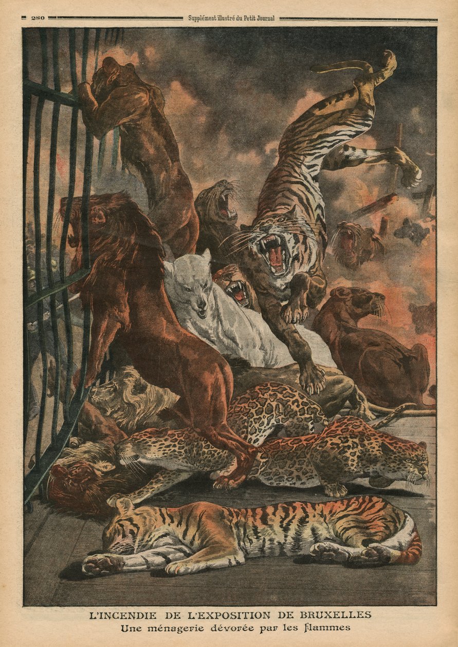 Pożar na Wystawie Światowej w Brukseli, menażeria trawiona przez płomienie, ilustracja z „Le Petit Journal”, dodatek illustre, 28 sierpnia 1910 autorstwa French School