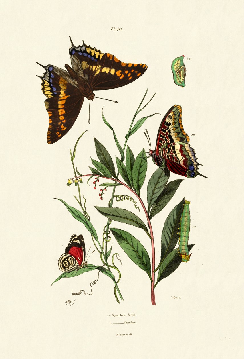 Pasza z dwoma ogonami, 1833-39 autorstwa French School
