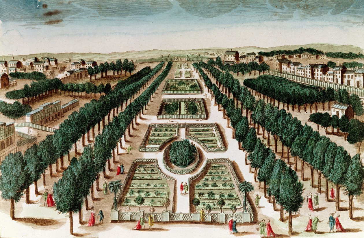 Widok na Jardin des Plantes z Gabinetu Historii Naturelle autorstwa French School