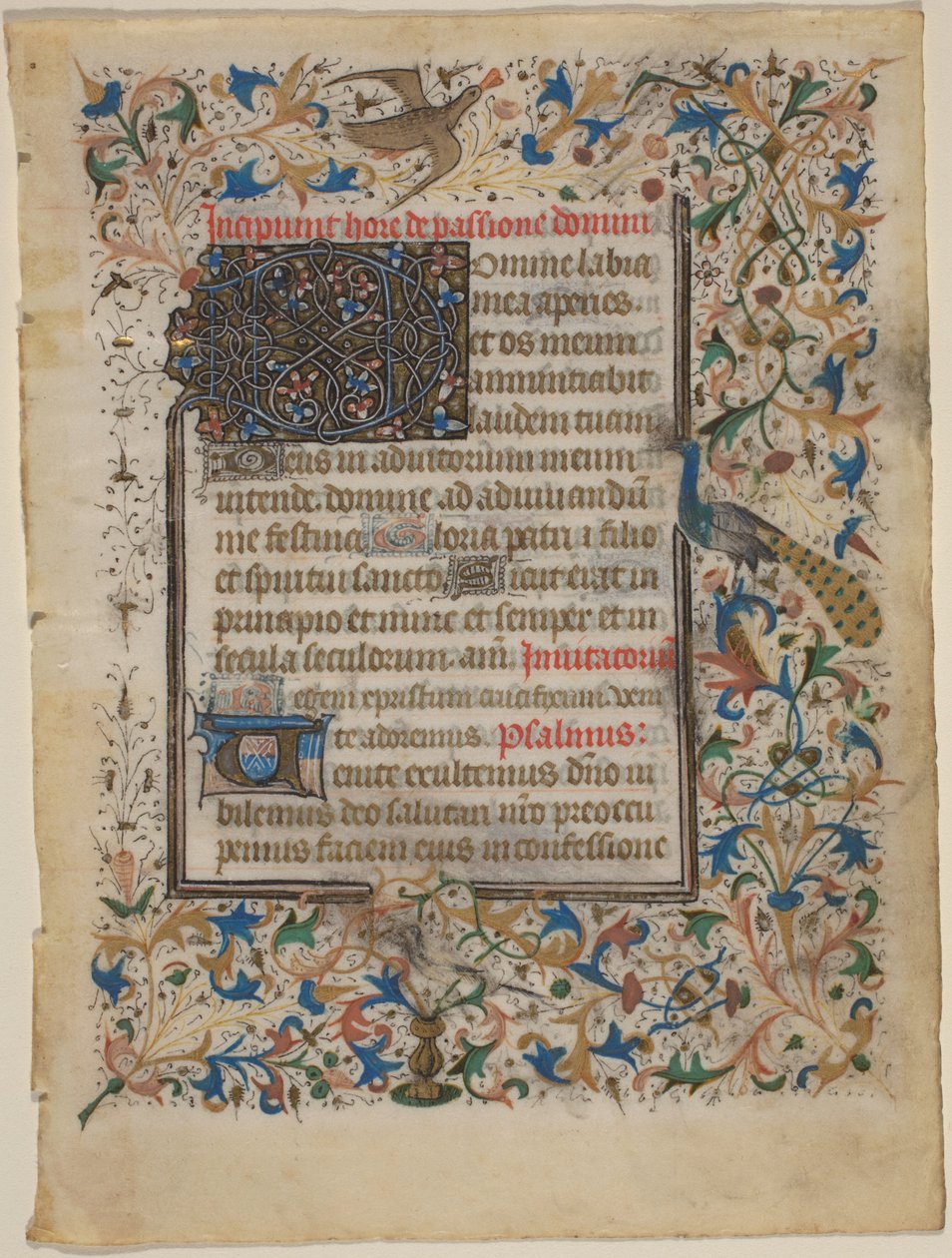 Kartka rękopisu z Księgi Godzin (incip. Passionis) autorstwa French 14th Century