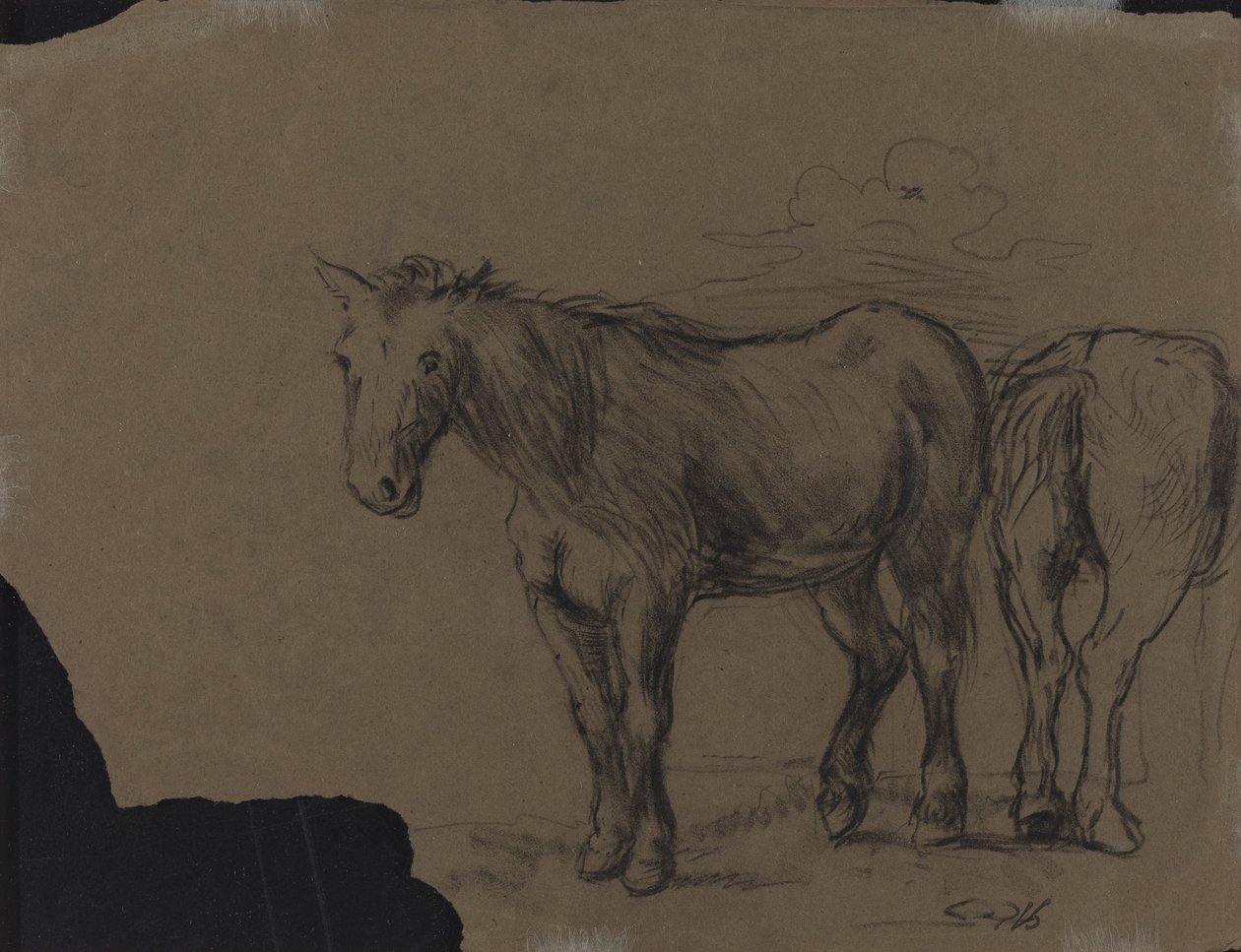 Konie autorstwa French 19th Century
