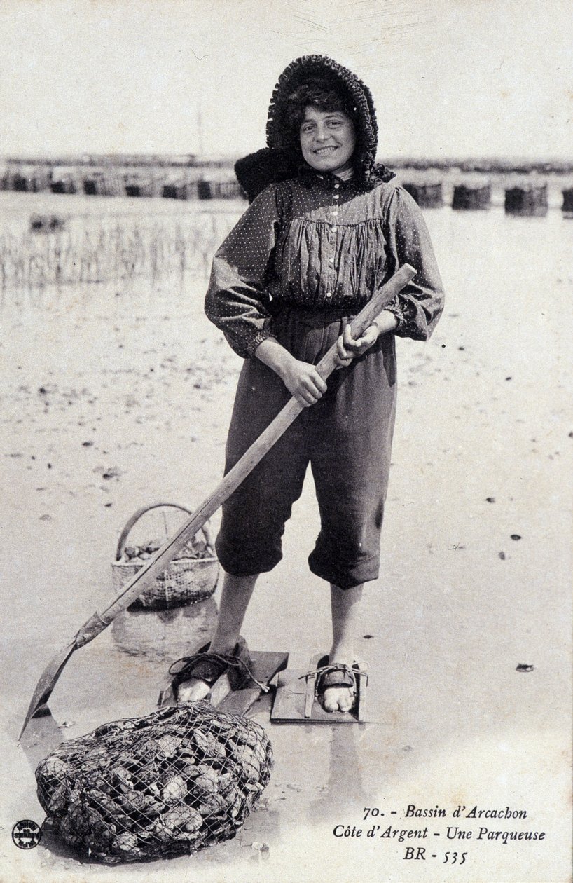 Basen Arcachon: maszyna do sortowania ostryg - pocztówka autorstwa French Photographer