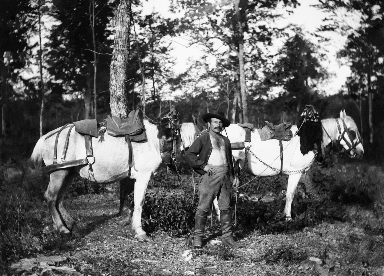 Bucheron ze swoimi końmi, w okolicach Bourmont w Haute-Marne (Haute Marne). Kolekcja Ducos. autorstwa French Photographer