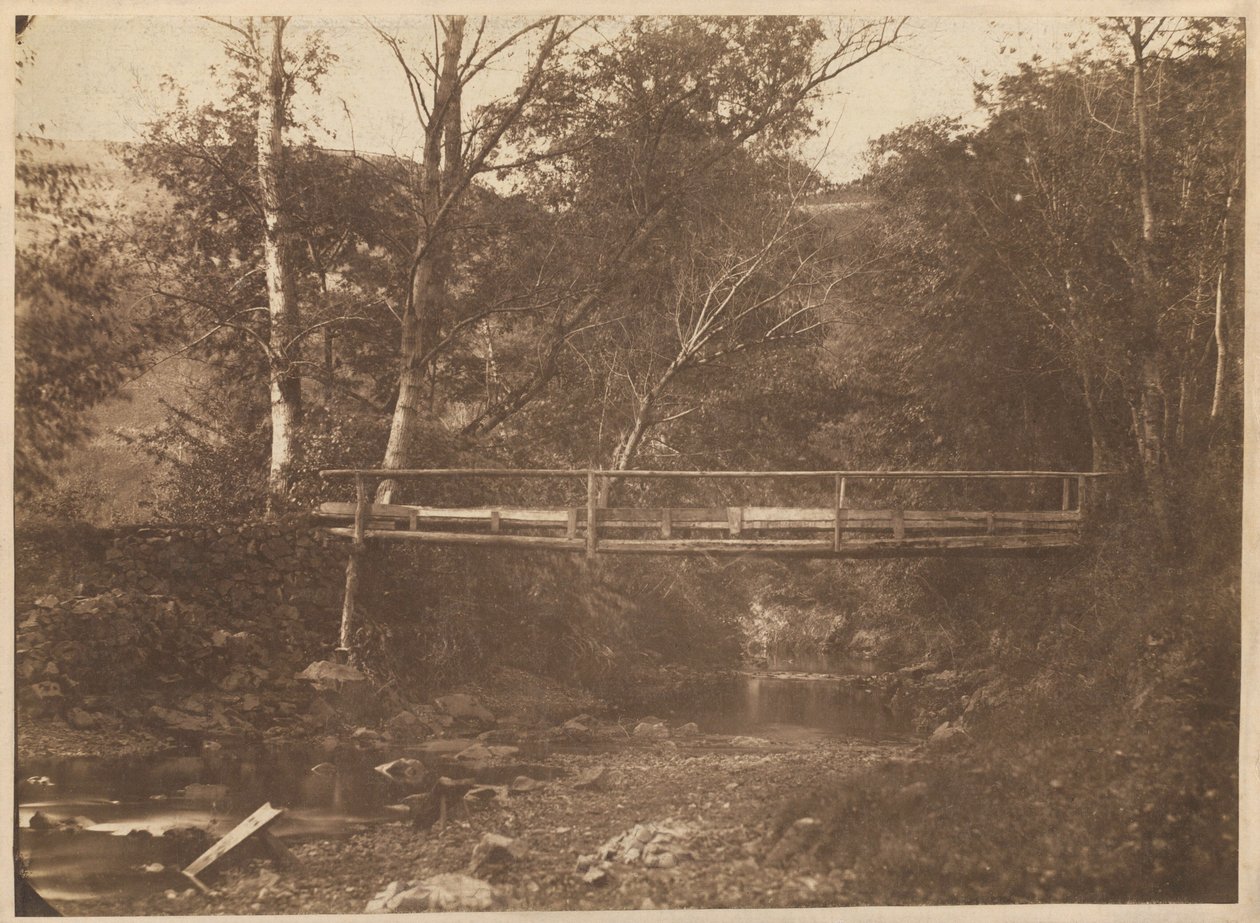 Pejzaż z drzewami i mostem, ok. 1850 (zdjęcie) autorstwa French Photographer