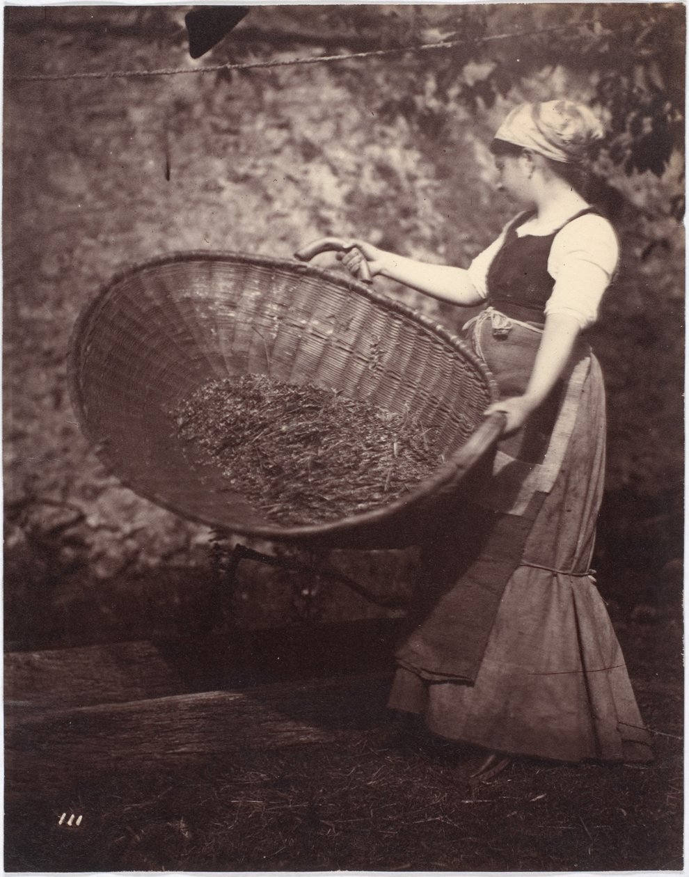Wieśniaczka z koszem na przesiewanie autorstwa French Photographer