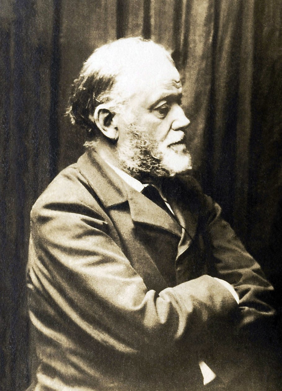 Portret Henri Fantin Latour (Fantin-Latour autorstwa French Photographer