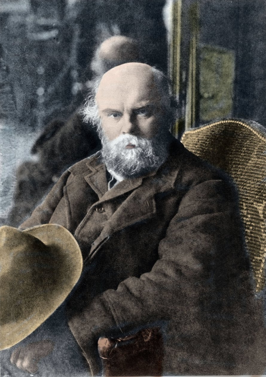 Portret poety Paula Verlaine