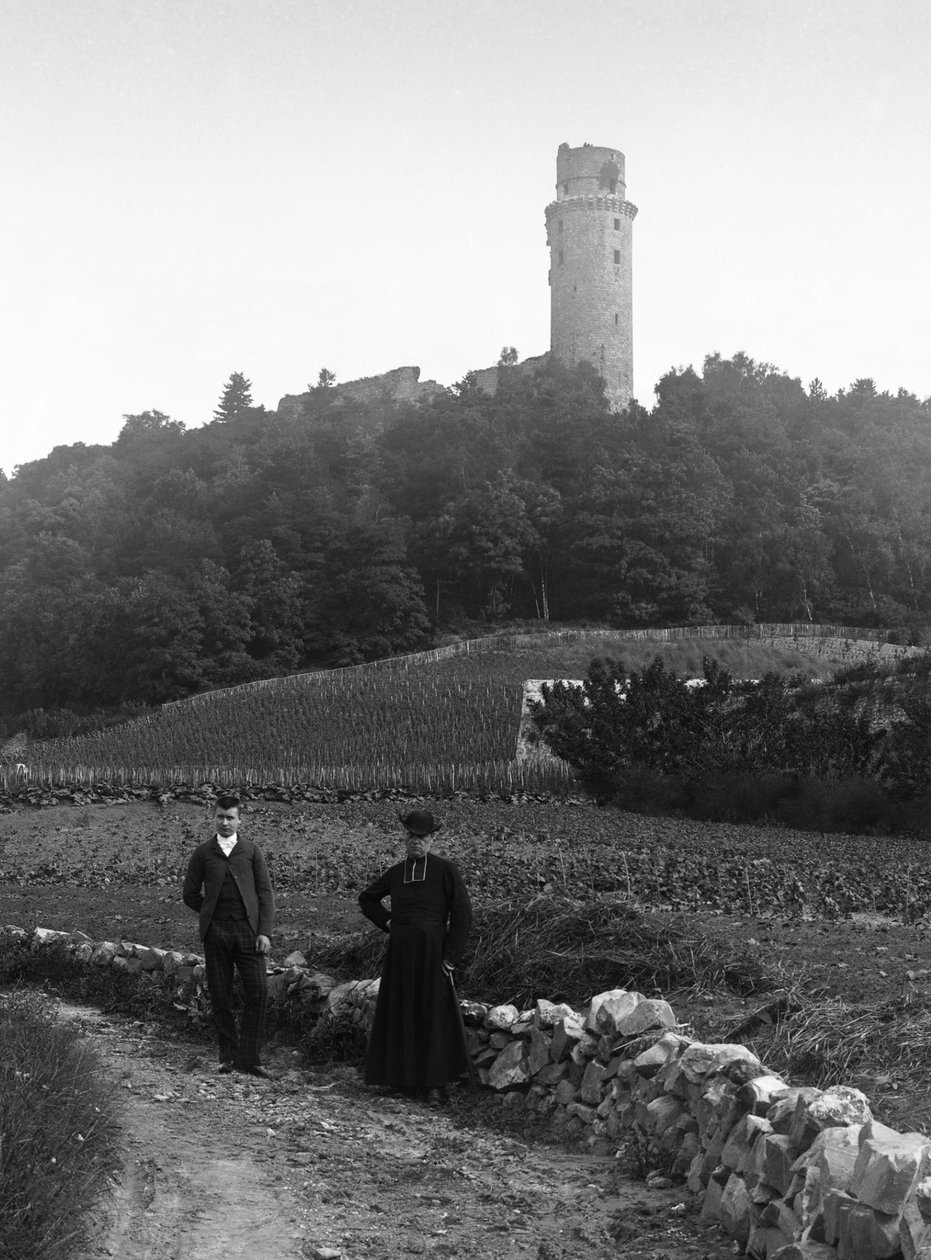 Kura wiejska, w towarzystwie młodego mężczyzny, pozuje na drodze przed wieżą Montlhery w Essone. Fotografia koniec XIX wieku. Kolekcja Ducos. autorstwa French Photographer