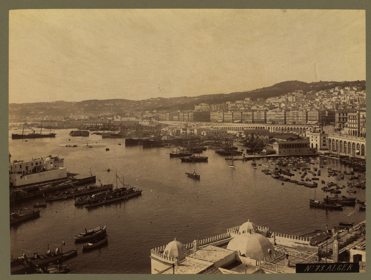 Widok Algieru, ok. 1860-1900 autorstwa French Photographer