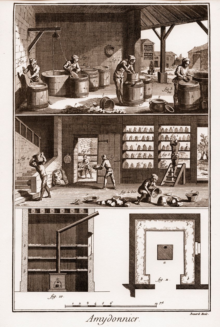 AMDONIER - Amydonnier - „” The Great Encyclopedia lub Dictionnaire Raisonne des Sciences, des Arts et des Metiers” (Encyklopedia lub słownik nauk, sztuki i zawodów) autorstwa Denisa Diderota (1713-1784) i Jeana d
