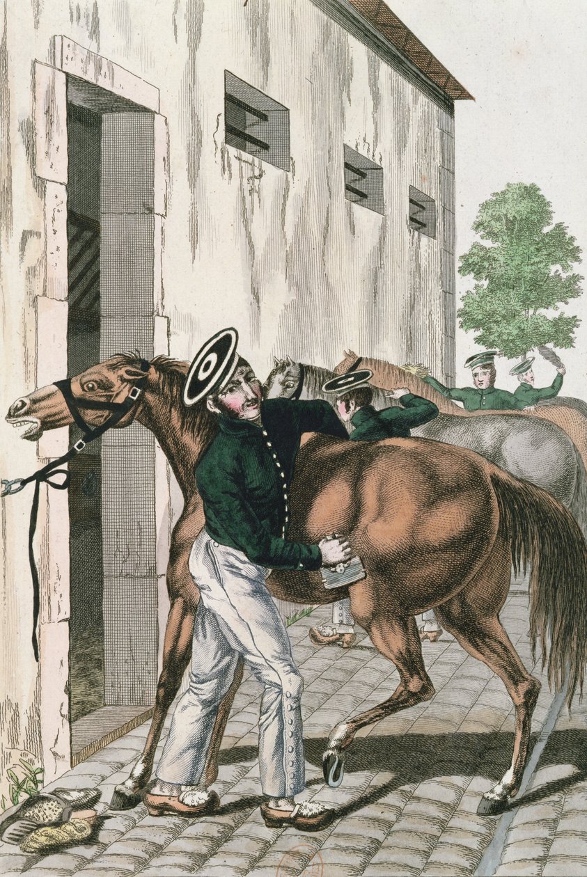 Dragoon pielęgnujący konia, tablica 257 z serii francuskich żołnierzy cesarskich, ok. 1800-10 autorstwa French School