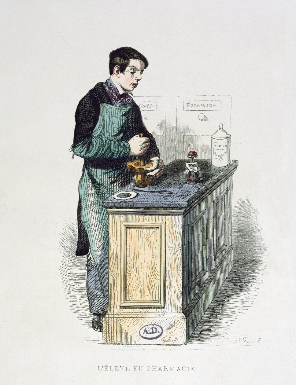 Student apteki przygotowujący lekarstwa, ilustracja z Francuzi malowani przez siebie, edycje L. Curmer, 1841 (kolorystyka) autorstwa French School