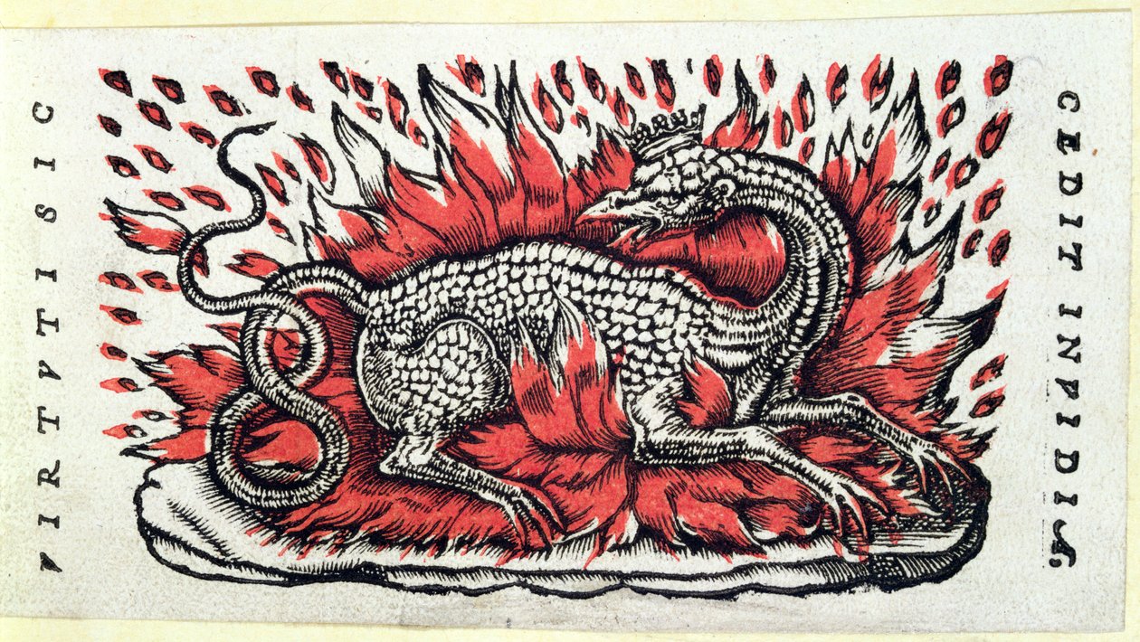 Salamandra, 1. poł. XVI w. autorstwa French School
