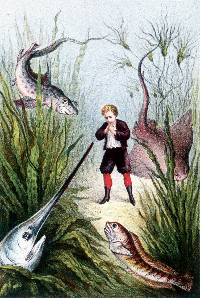 Chłopiec otoczony przez gigantyczne ryby - w "Podróży na dno morza" H. de la Blanchère. Paryż, wyd. Jouvet et Cie, sd. 1880. (double 02941) autorstwa French School