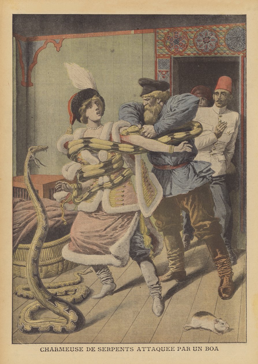 Zaklinaczka węży zaatakowana przez boa dusiciela w Aleksandrii (kolorowa litografia) autorstwa French School