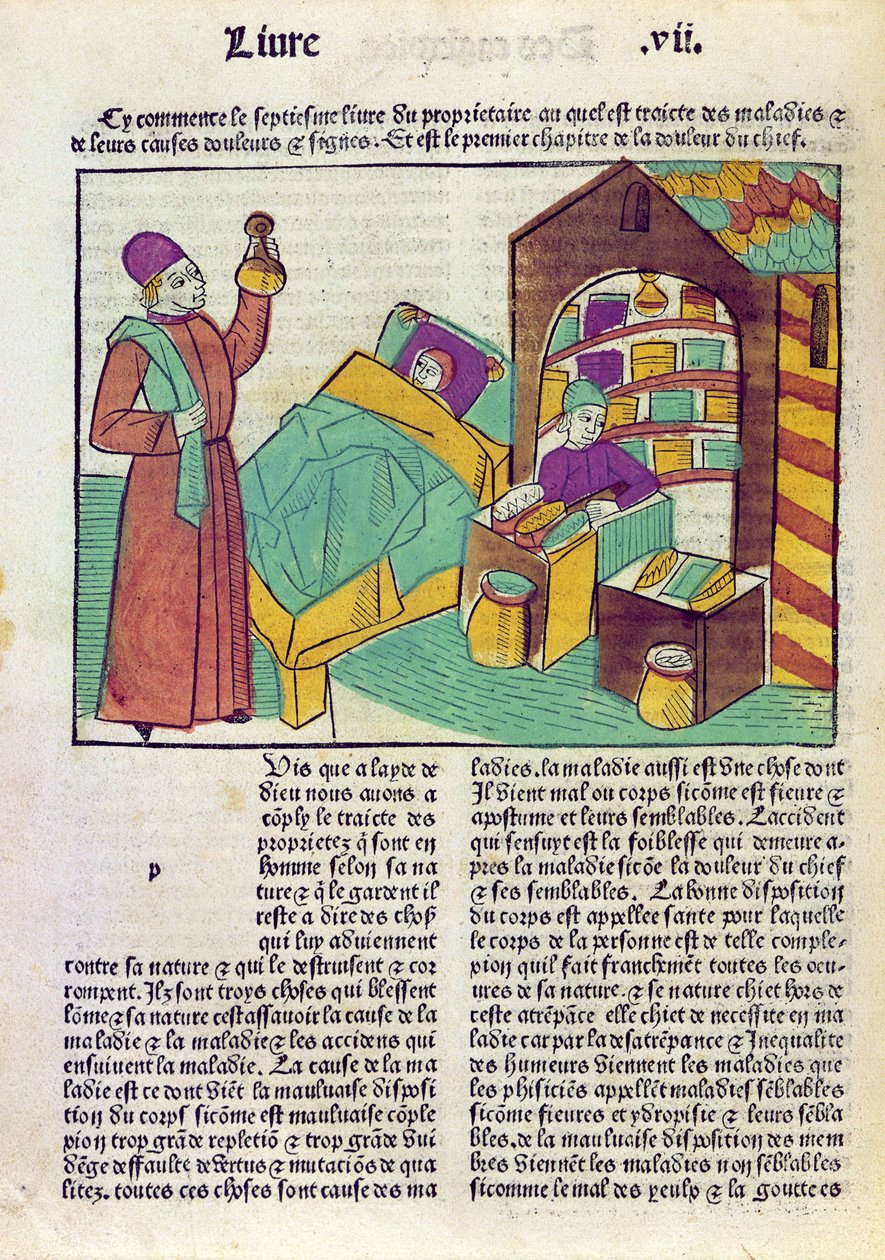 Pacjent z lekarzem i farmaceutą, z Le Livre des Proprietes des Choses Barthelemy