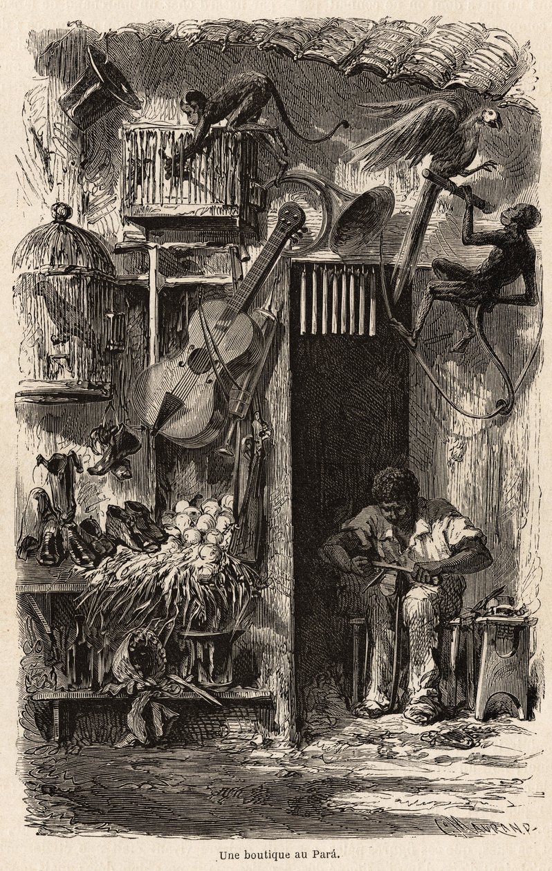 Sklep w Para, ilustracja do podróży pana Biarda do Brazylii w latach 1858-1859. Grawer w „Le tour du monde” 1861. Kolekcja Selvy. autorstwa French School