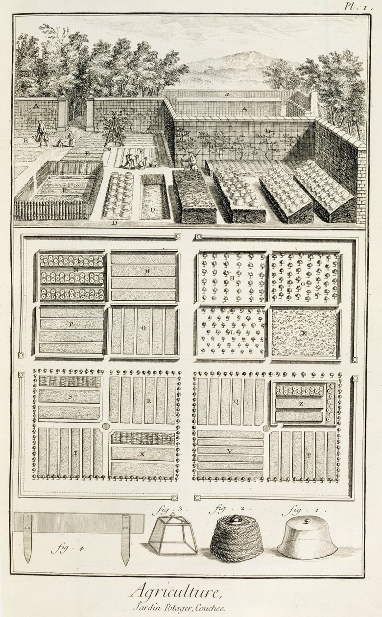 Ogród warzywny, z The Encyclopedia of Science, Art and Engineering Denisa Diderota (1713-84), c.1770 autorstwa French School