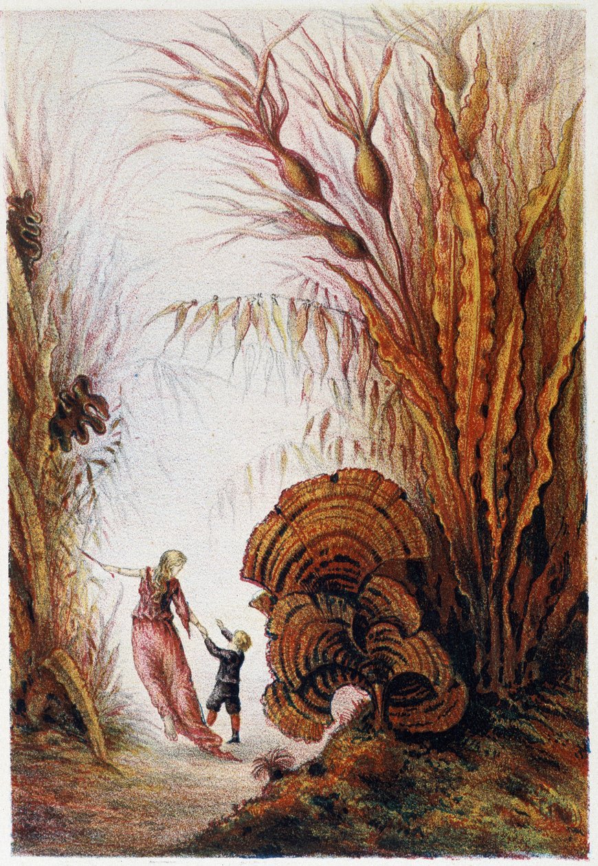 Kobieta i chłopiec przemierzający podwodny świat - w "Podróży na dno morza" H. de la Blanchère. Paryż, wyd. Jouvet et Cie, sd. 1880. autorstwa French School