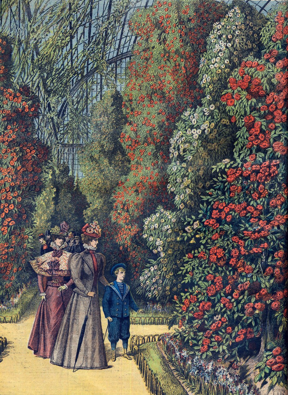 Ogród aklimatyzacyjny - la serre des camelias - szklarnia kamelii w ogrodzie botanicznym autorstwa French School
