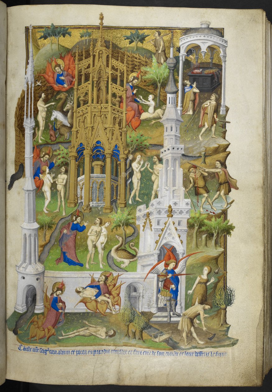Dodaj Ms 18850 f.14r Sceny ze stworzenia i upadku, Adama i Ewy oraz ich synów, Kaina i Abla, z Księgi Godzin (Godziny Bedforda) c.1410-30 (atrament, kolor i złoto na welinie) autorstwa French School